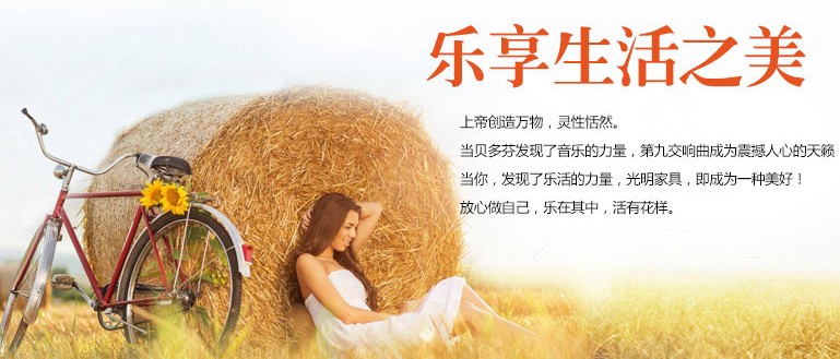 簡約實(shí)木家具我的夢(mèng)想家具