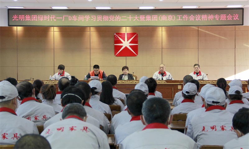 綠時代一廠D車間、電商公司、伊春公司召開學習貫徹黨的二十大暨集團（南京）工作會議精神專題會議